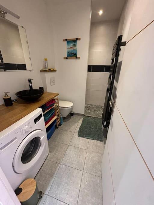 Saint-Laurent-dʼAigouze Appartement En Petite Camargue מראה חיצוני תמונה